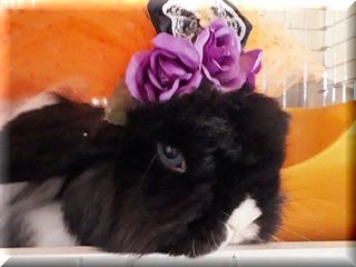 20181031_120324.jpg