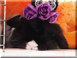 20181031_120351.jpg