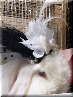 20190313_225419.jpg