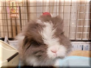 20190804_194121.jpg