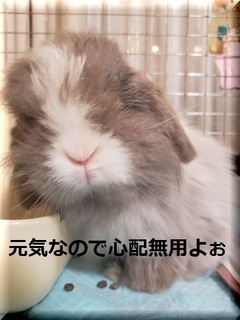 20190820_215145.jpg