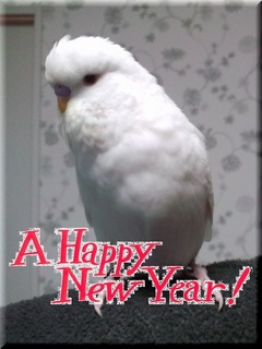 2019[6.jpg