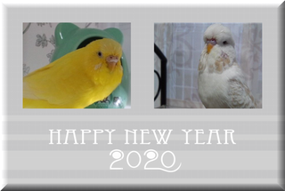 2020-5.png