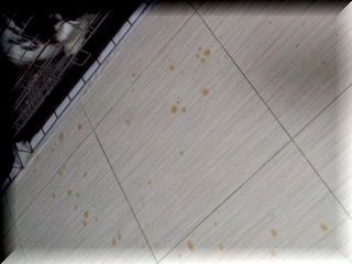 CA3F2551.jpg