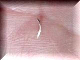 CA3F5990.jpg