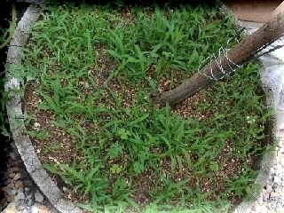 CA3F6071.jpg
