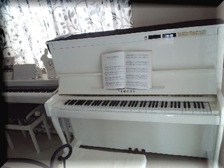 CA3F6148.jpg