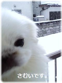 CAQEO0F0.jpg
