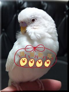 2019ー13.jpg