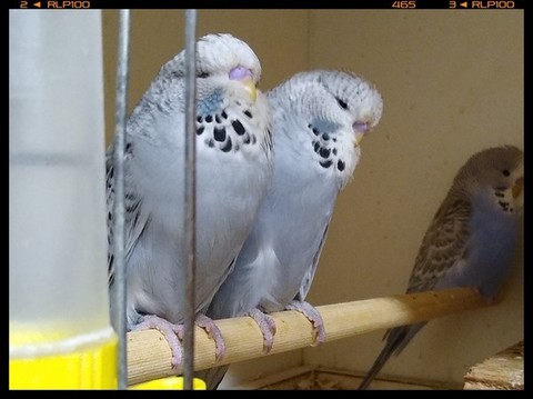 Fotor_158996305065051.jpg