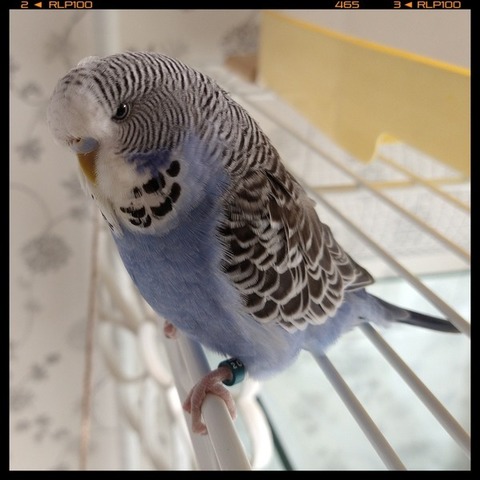 Fotor_160031578981733.jpg