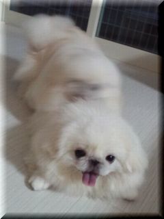 PAP_0730.JPG