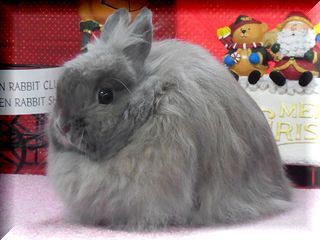 resize4347-F.jpg