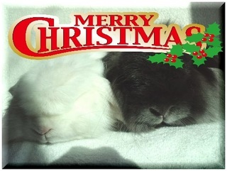 xmas2018-1.jpg